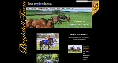 Desktop Screenshot of brighthillfarm.co.nz